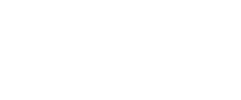 logo zoom
